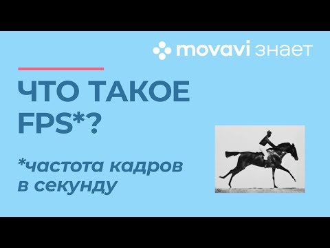 Что такое FPS - частота кадров в секунду? 🐎 