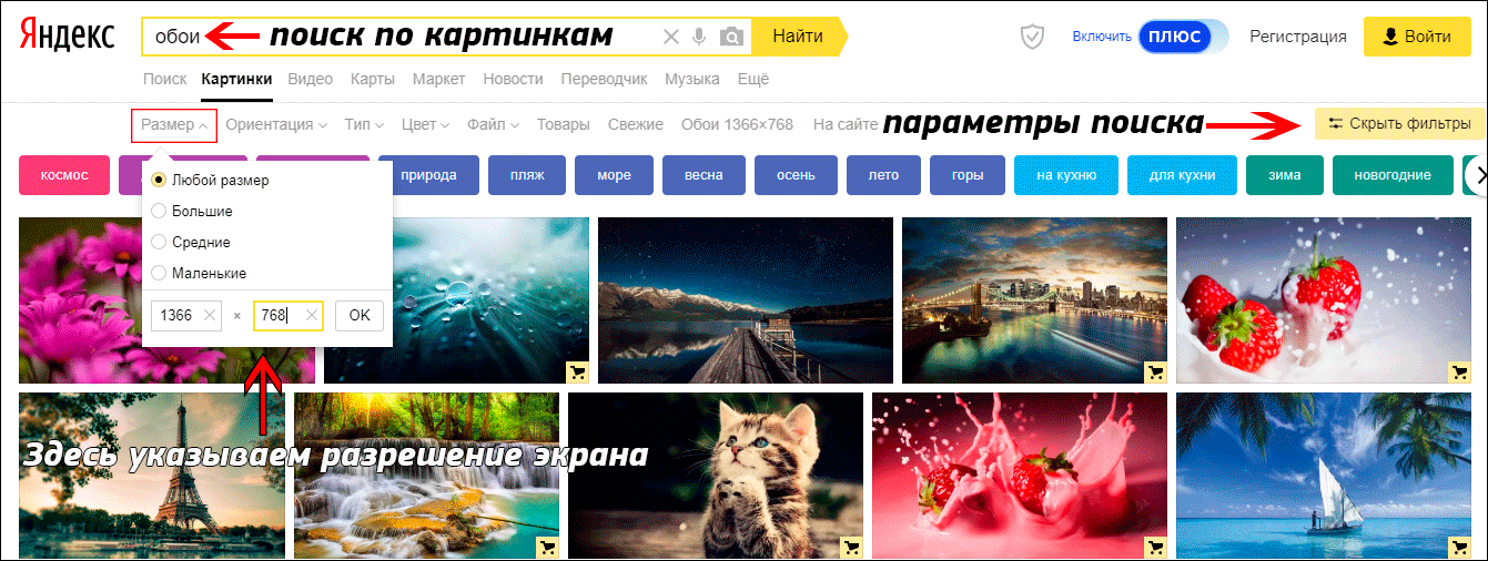 Картинки поиск по картинке с телефона изображений