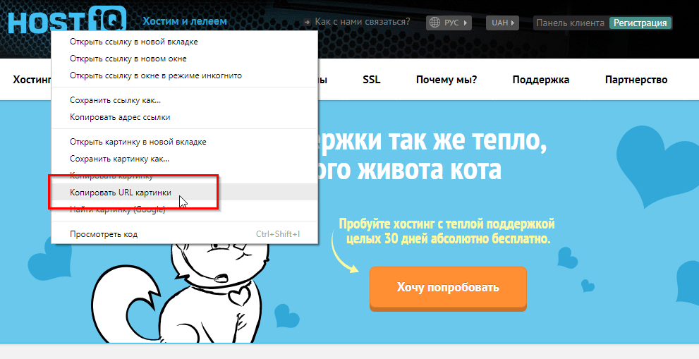 Как узнать url приложения на android