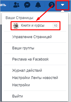 Меню программы Facebook