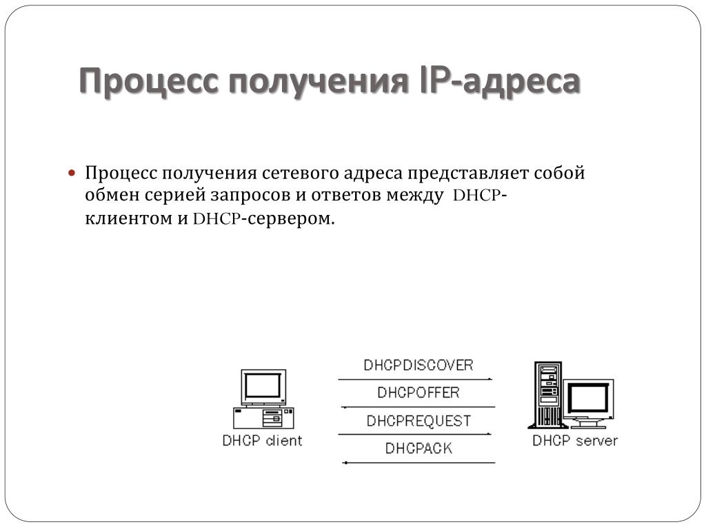 Сетевой адрес 24