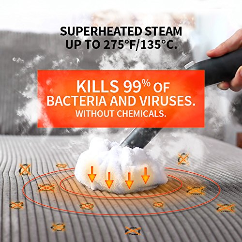 Dupray Neat Steam Cleaner Multipurpose Heavy Duty Steamer for Floors, Cars, Home Use and More