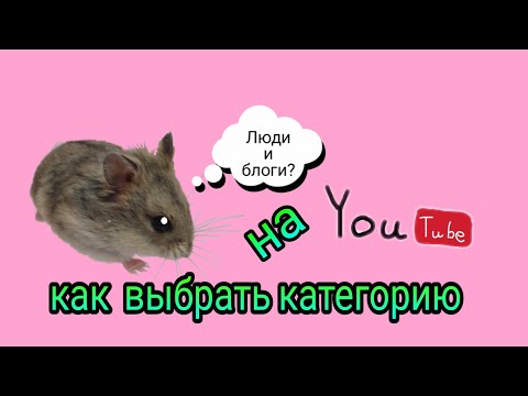 Как выбрать категорию для YouTube/Как поменять категорию YouTube