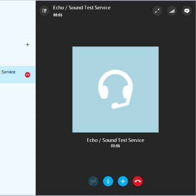 Skype Echo