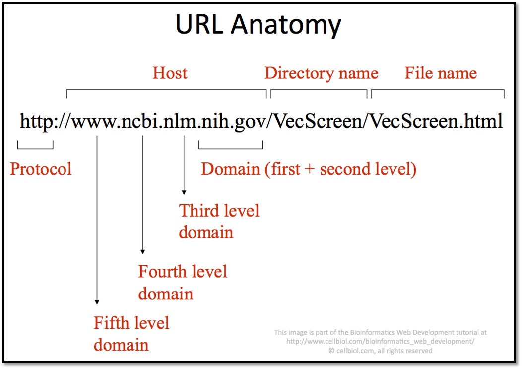 Url device. Строение URL. Схема URL. Схема URL адреса. Структура uri.