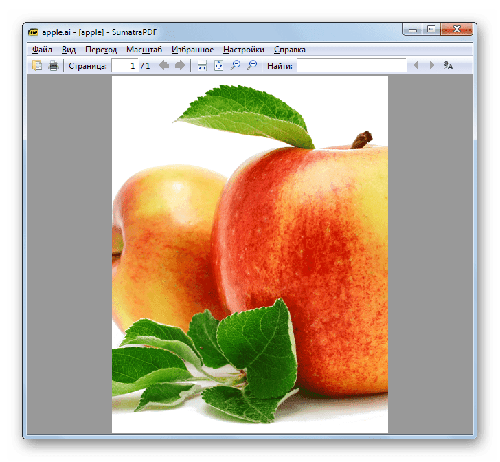 Содержимое файла в формате AI открыто в программе SumatraPDF