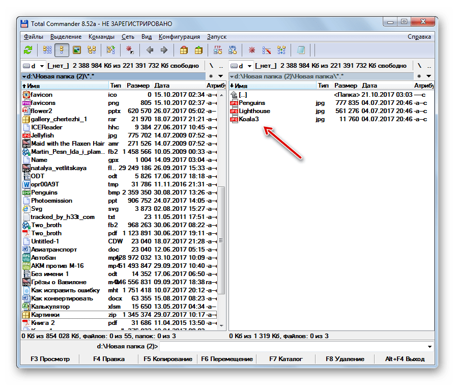 Содержимое архива ZIP извлечено в указанную папку в программе Total Commander