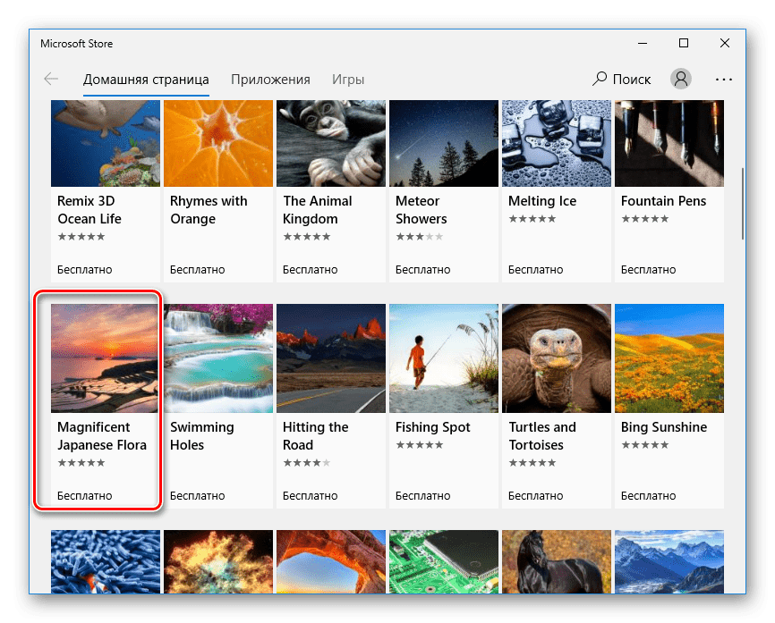 Выбор темы в Microsoft Store в Windows 10