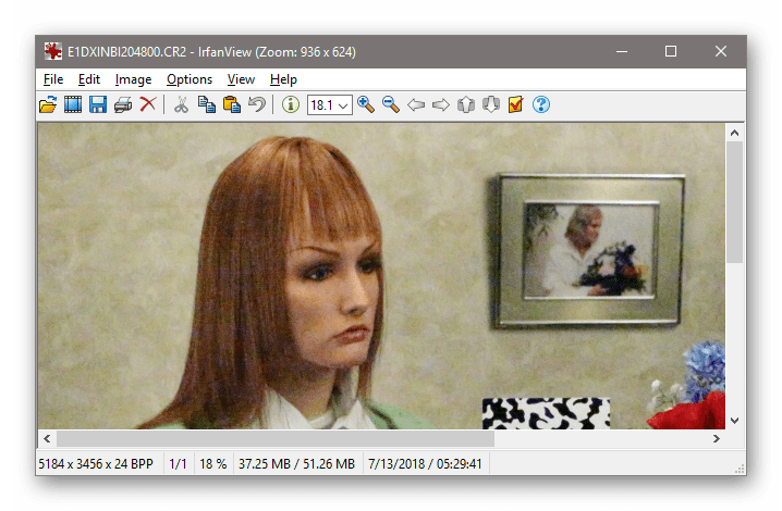 Просмотр СR2 файла, открытого при помощи программы InfranView
