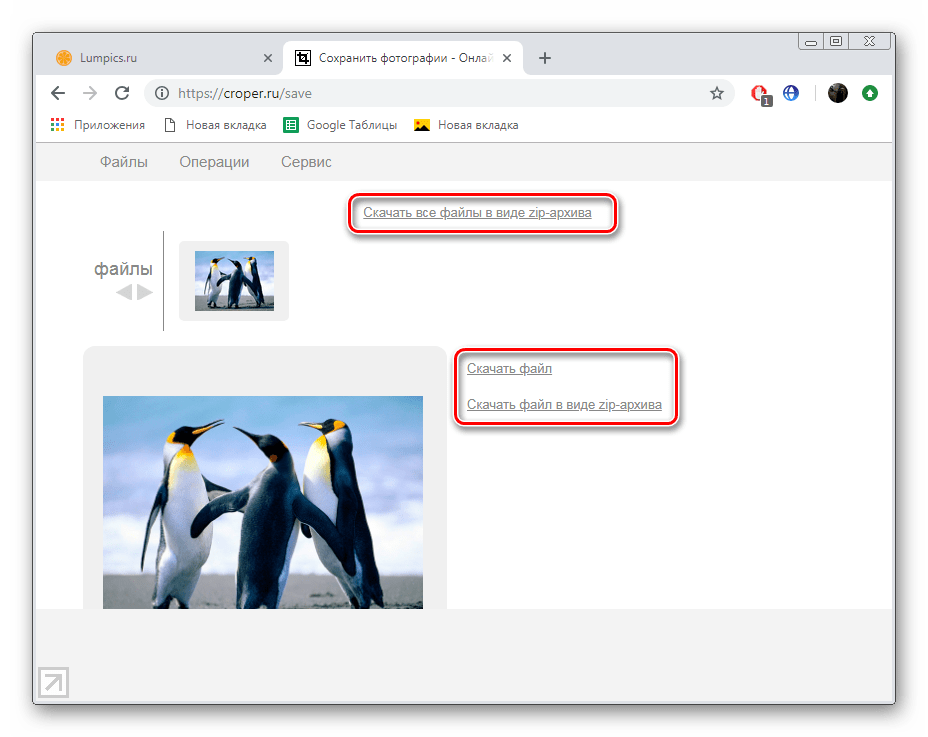 Скачать изображение на компьютер с сайта Croper