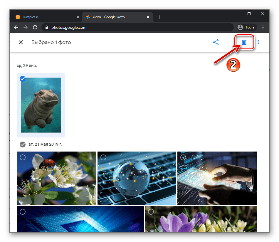 Удалено галерея. Очищаю галерею. Гугл фото удаляются. Дубликаты фото гугл фото. Веб версия гугл фото.