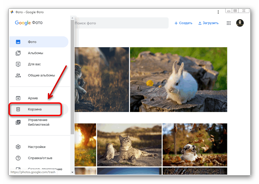 Как из гугл фото перенести в галерею. Загрузите фотографию из галереи. Восстановление удаленных фотографий из галереи. Как сделать фото в гугле. Google Мои фото.