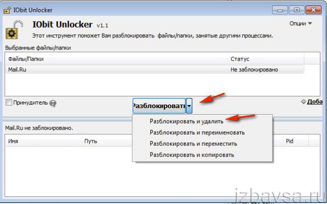 iObit Unlocker