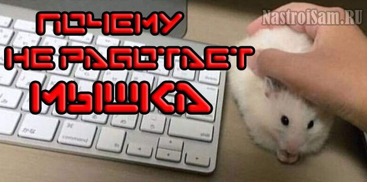 не работает мышка на компьютере