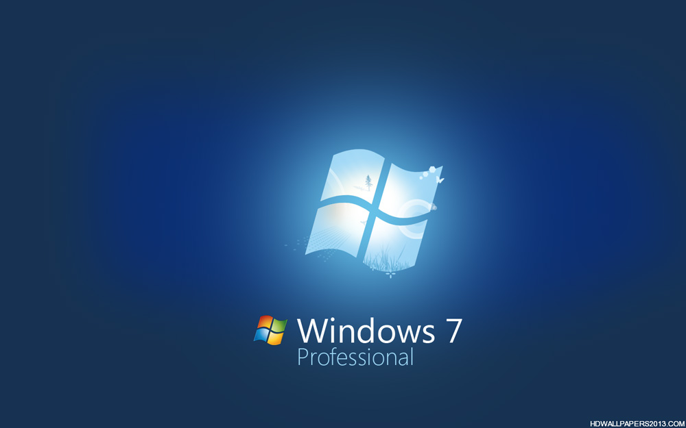 Версия Windows 7 Professional обладает большими возможностями