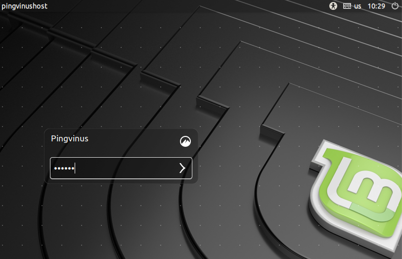 Вход в Linux Mint