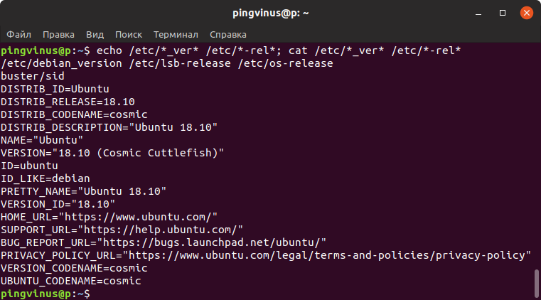 /etc/release /etc/version файлы Linux