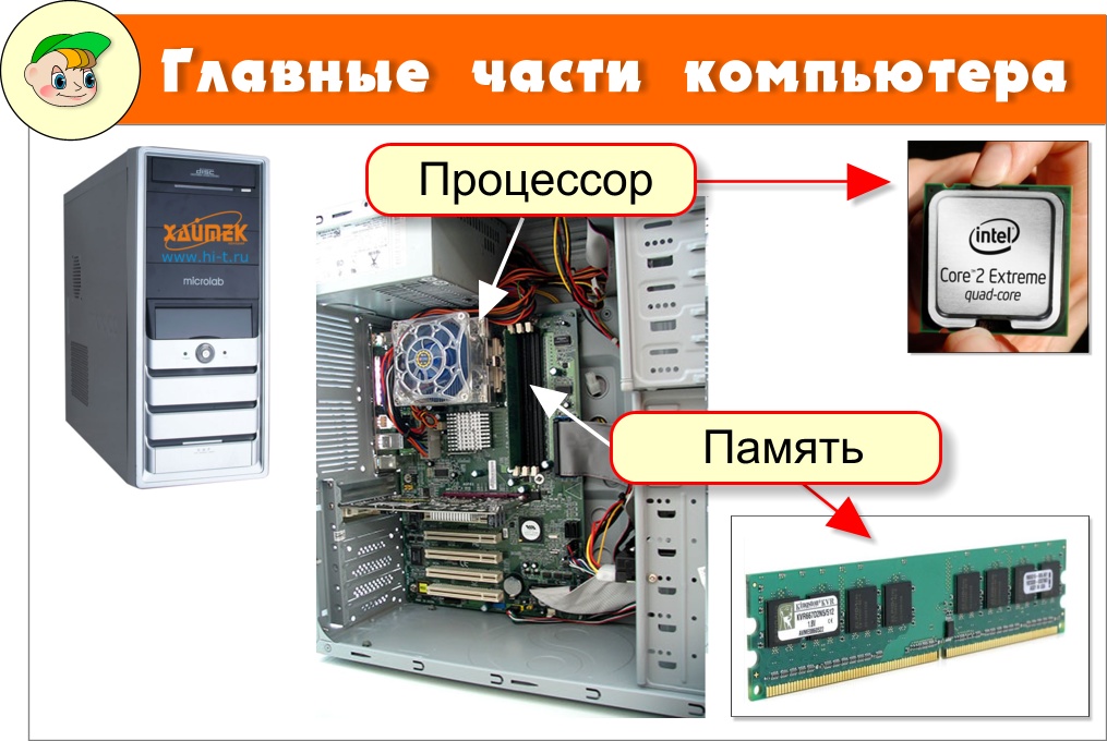 Основные части процессора