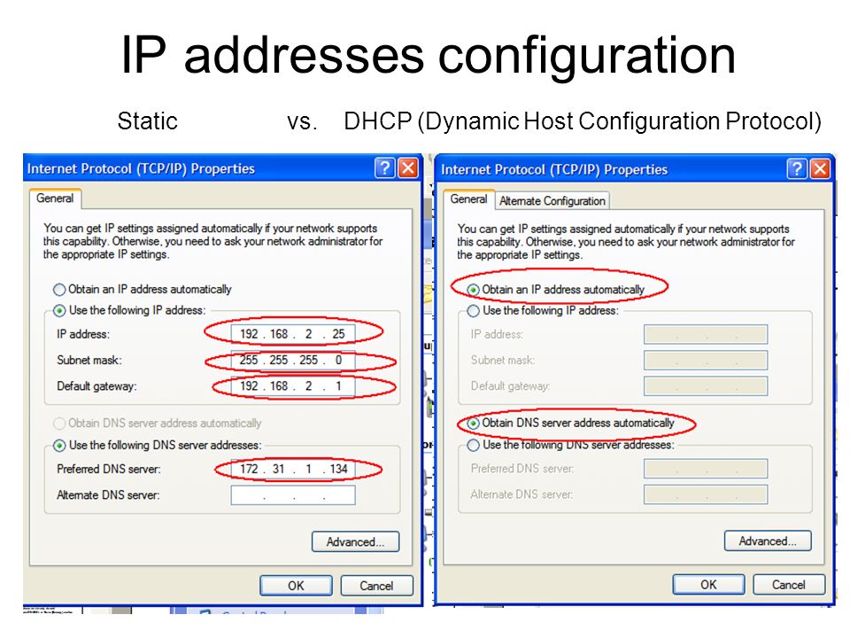 Как сделать статический ip. IP адрес структура IP адреса. Статический IP. Статический IP адрес. Стандартный IP адрес.