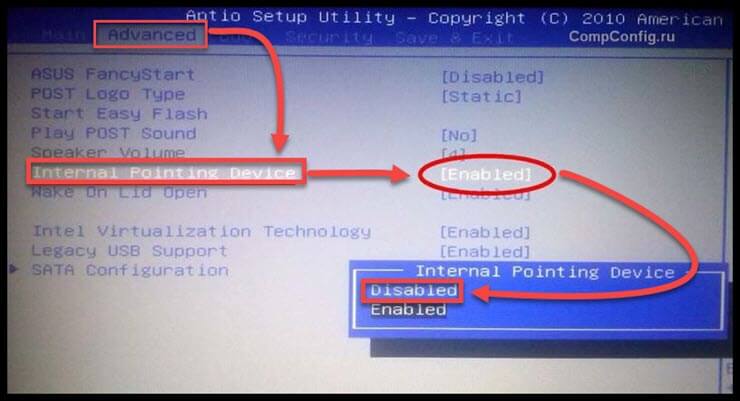 Internal Pointing Device