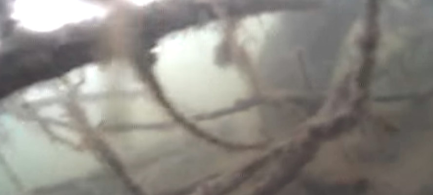 Так снимает Aqua-Vu Micro 2