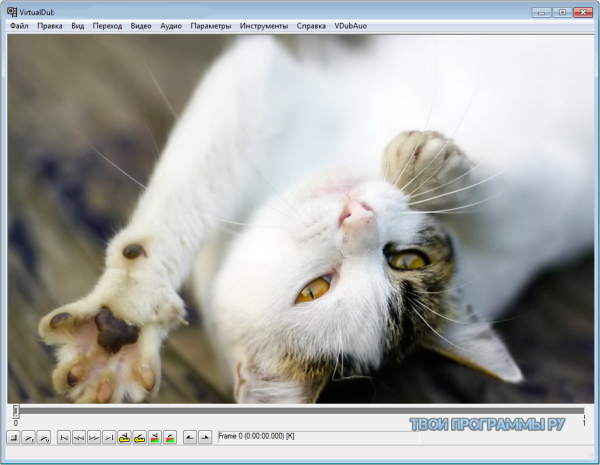 VirtualDub русская версия