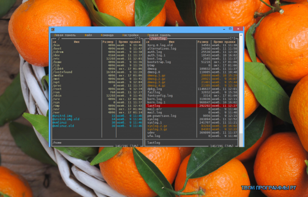 PuTTY русская версия