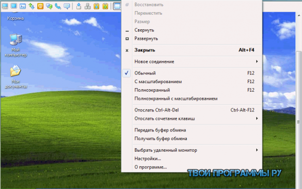 Radmin русская версия