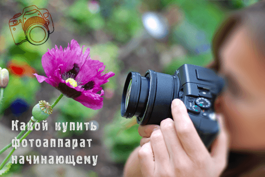 какой фотоаппарат купить начинающему фотографу