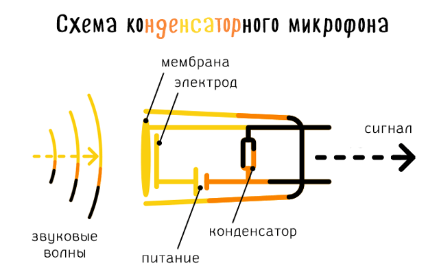 Схема базовой конструкции конденсаторного микрофона