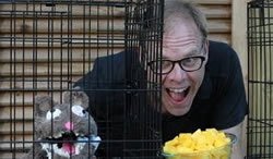 Весёлый урок по нарезке манго