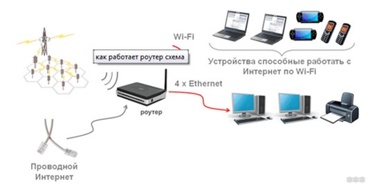 В чем разница между маршрутизатором и роутером: есть ли отличия?