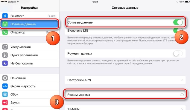 Режим модема на iPad: активация, настройка и подключение