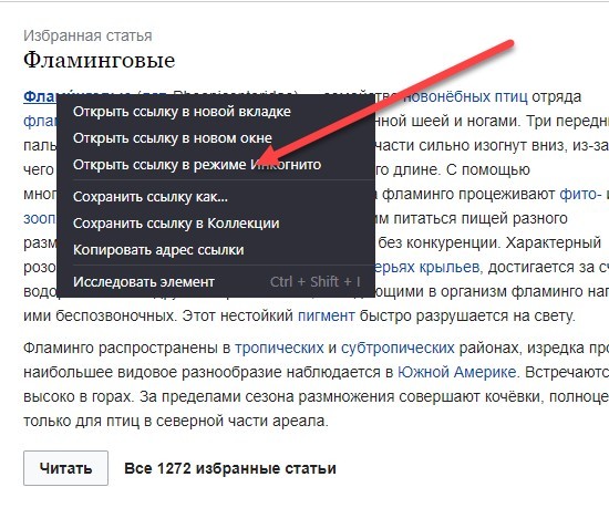 «Инкогнито» в Яндекс.Браузере: как открыть вкладку в приватном режиме?