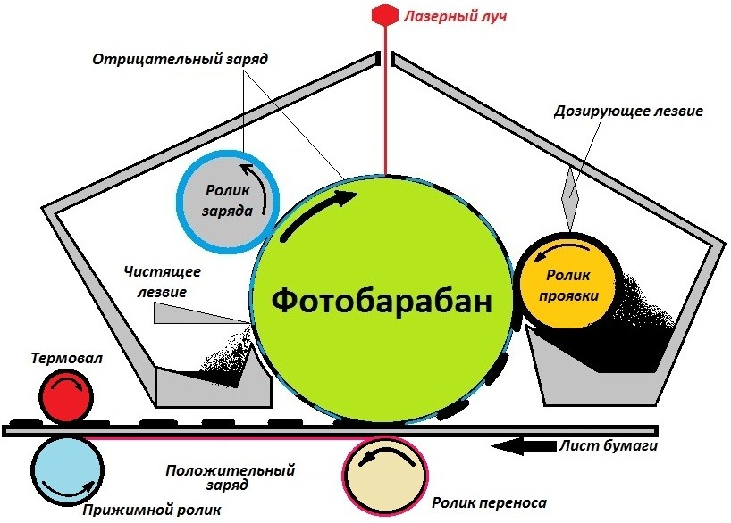 Какой принтер лучше для дома и офиса: лазерный или струйный